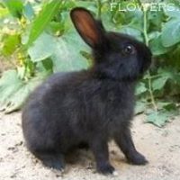 Heather Reis Photo 22