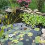 Debbie Whitney Photo 39