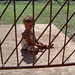 Shirley Hamilton Photo 16