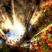 Rose Ray Photo 42
