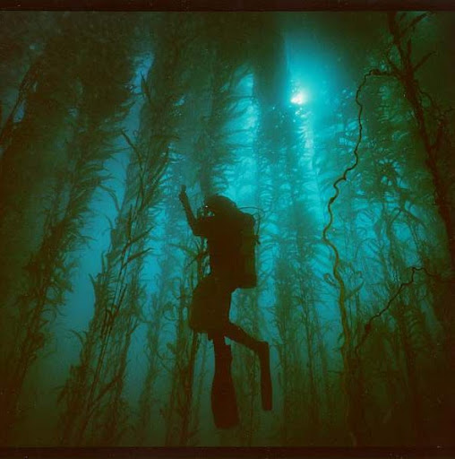 Ken Henning Photo 9