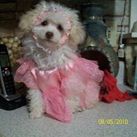 Gail Sewell Photo 3