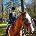 Lisa Hitchcock Photo 25