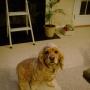 Sandra Honeycutt Photo 3