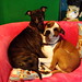 Rebecca Bree Photo 14