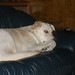 Loretta Harper Photo 29
