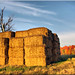 Wallace Stack Photo 3