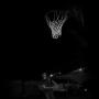 Andres Rosas Photo 26