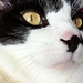 Hank Sharp Photo 11