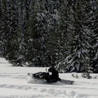 Andy Edmonds Photo 17