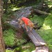 Cliff Webster Photo 4