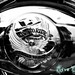 Glen Davidson Photo 28