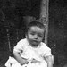 Bill Robb Photo 7