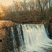 William Vickery Photo 31