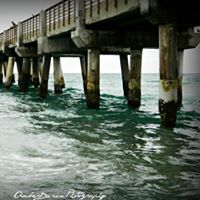 Teresa Ammons Photo 10