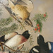 Joseph Bartholomew Photo 34