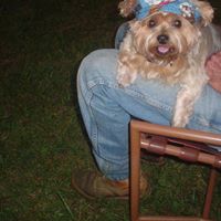 Janice Mccombs Photo 7
