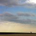 Jane Kite Photo 8