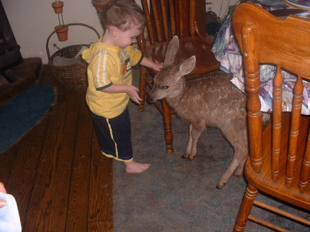 Jennifer Hull Photo 25