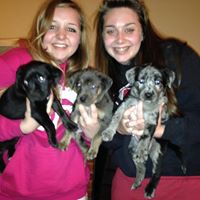 Linda Yaeger Photo 12