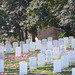 Robert Todd Photo 34
