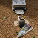 Emily Davison Photo 33