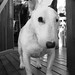 Doris Whited Photo 5