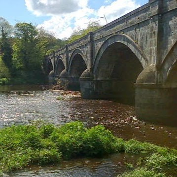 Maureen Fitzgerald Photo 3