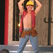 Guy Busch Photo 3