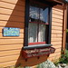 Dawn Nelson Photo 24