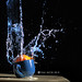 David Pollock Photo 12