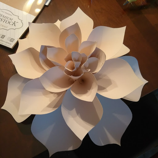 Jill Walker Photo 25