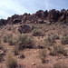 Carroll Wheeler Photo 11