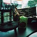 June Chan Photo 35