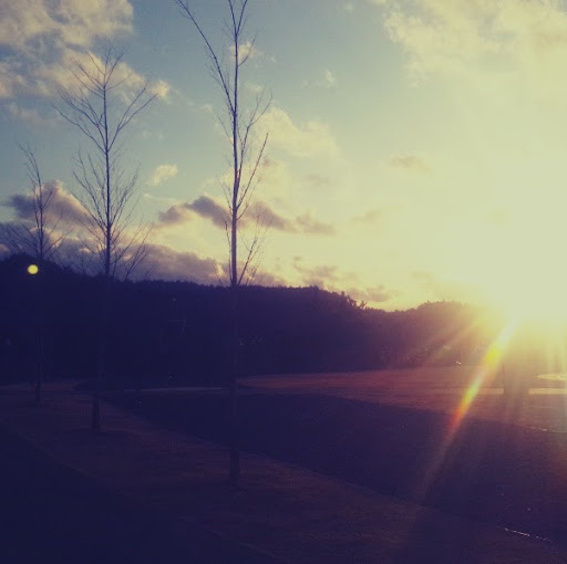 Mi Han Photo 8