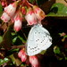 Jenny Pyle Photo 17
