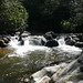 Dennis Forrest Photo 18