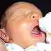 Joshua Whiteman Photo 13