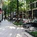 Marcia Neumann Photo 8