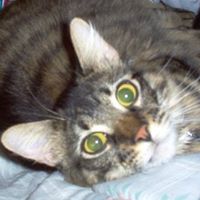 Carrol Rhoads Photo 3