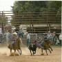 Robert Mcmillin Photo 19