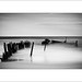 Matthew Rust Photo 25