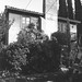 David Witmer Photo 19