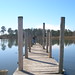 Dave Perdue Photo 14