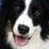 Richard Helms Photo 16