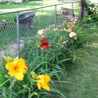 George Graff Photo 26