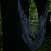 Kimberly Huntington Photo 12