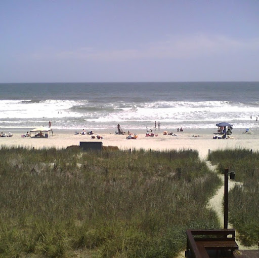 Julie Perdue Photo 32