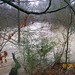 Susan Snead Photo 22