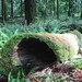 Andrea Groves Photo 8